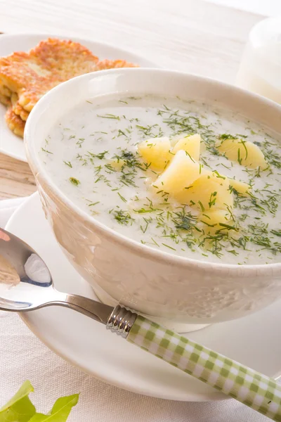 Dill soup — Stock Photo, Image