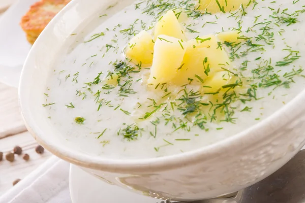 Koprová polévka — Stock fotografie