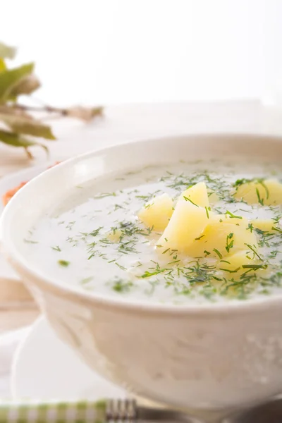 Dill soup — Stock Photo, Image