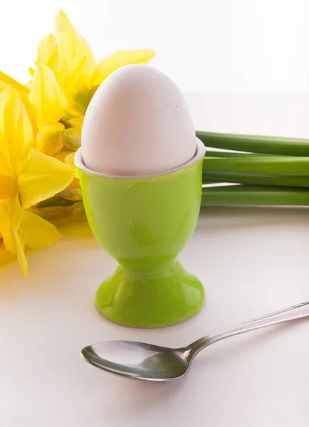 Eggcup — Stok fotoğraf