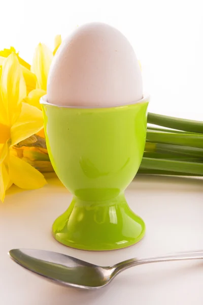 Eggcup — Stok fotoğraf