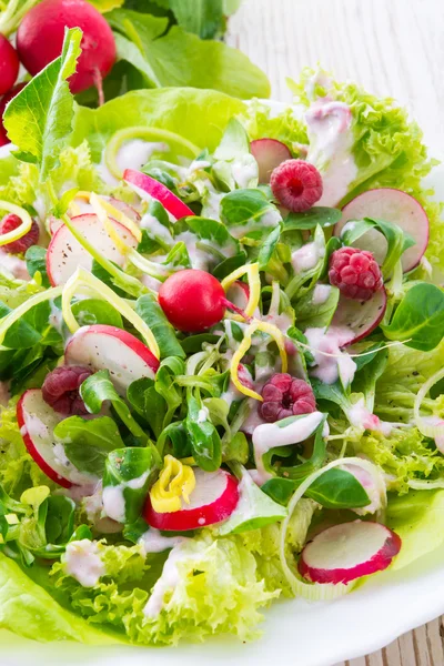 Fräsch sallad — Stockfoto