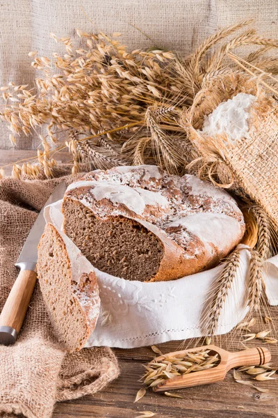 Nybakat traditionellt bröd — Stockfoto