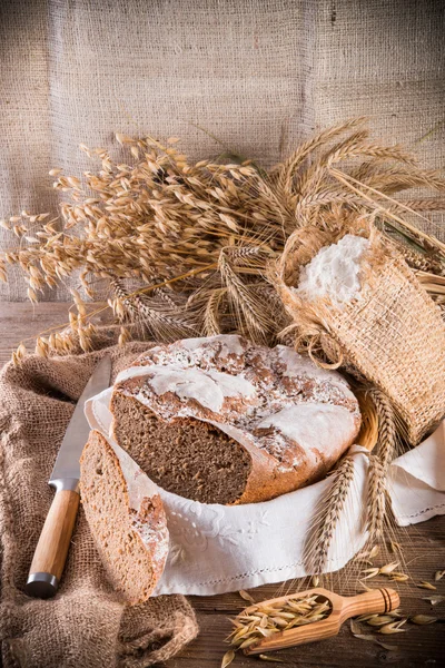 Nybakat traditionellt bröd — Stockfoto