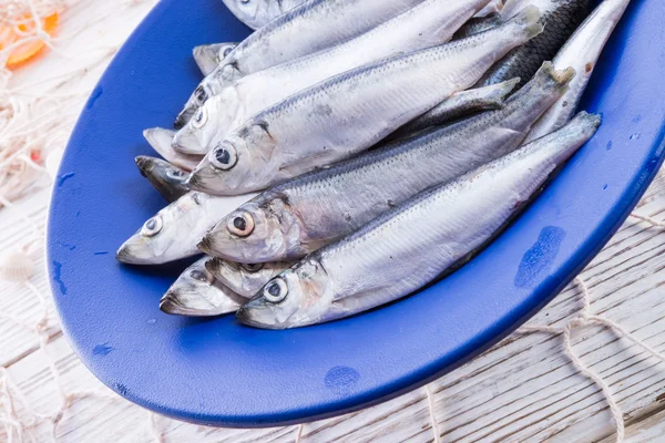 Herrings — Stock Photo, Image