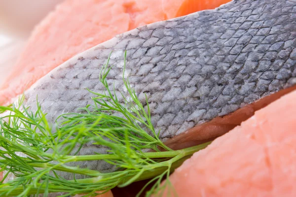 Salmão em bruto — Fotografia de Stock