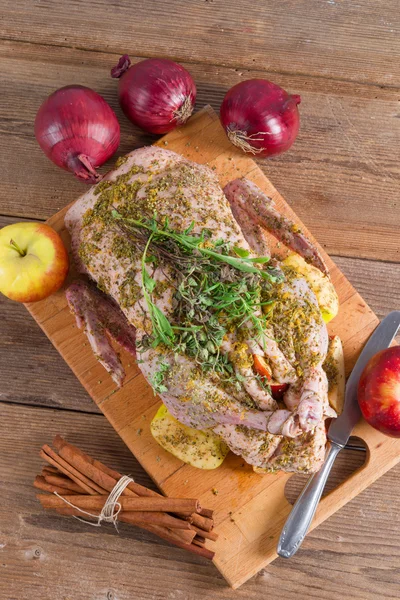 Raw duck — Stock Photo, Image