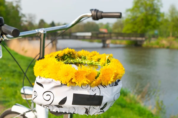 バイクとレイの花の花輪 — ストック写真
