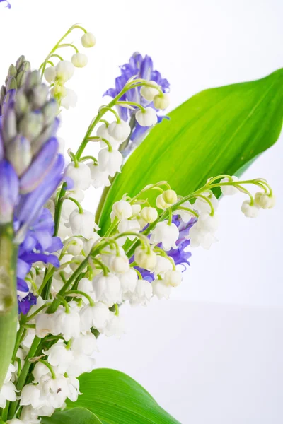 Lily of the Valley and Scilla — Stock Photo, Image