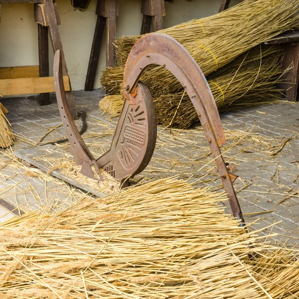 Cortador de caña —  Fotos de Stock