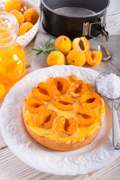 Torta Mirabelle — Foto Stock