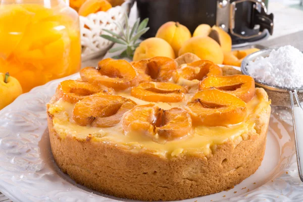 Mirabelle cake — Stock Photo, Image