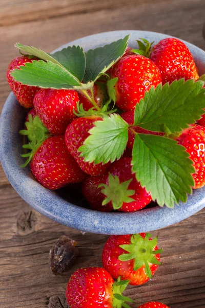 Erdbeeren — Stockfoto