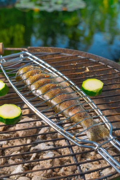 Grilled trout — Stock Photo, Image