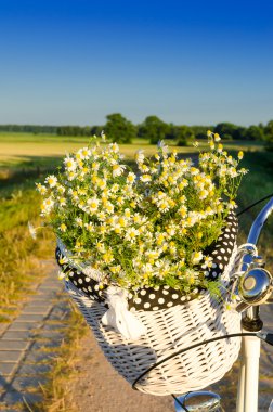 gün batımında papatya ile sepetleri