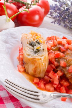 Vejetaryen lahana, ıspanak ve salsa ile rulo