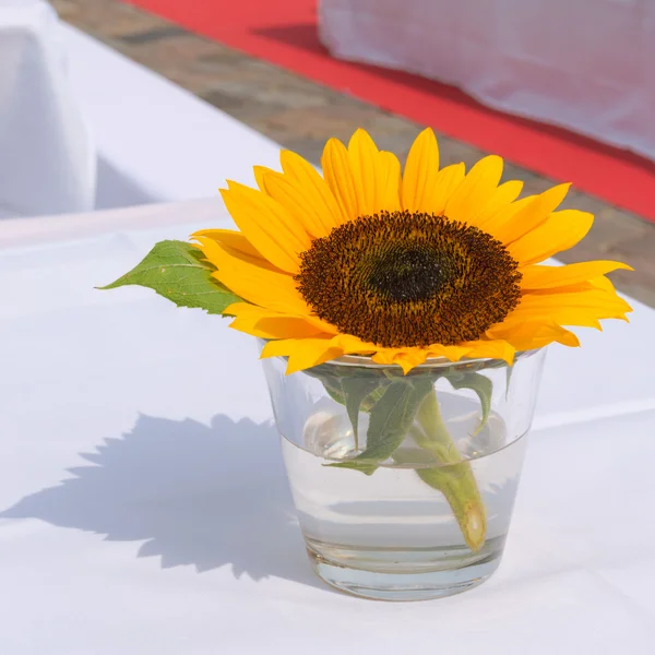 Slunečnice na stůl — Stock fotografie
