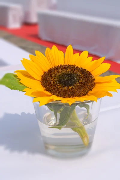 Sonnenblume auf dem Tisch — Stockfoto