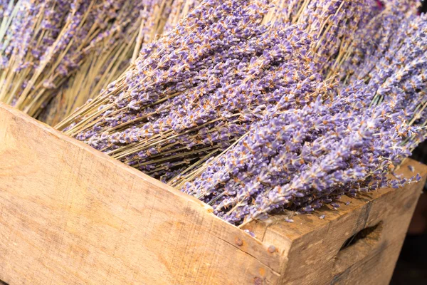 Flores de lavanda seca — Fotografia de Stock