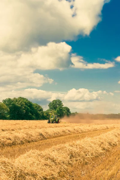 Erntezeit - Jahrgang — Stockfoto