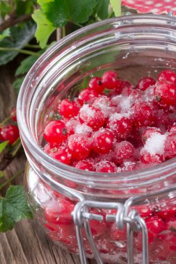 şekerli Frenk üzümü