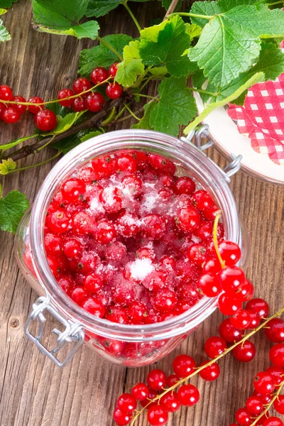 Sugared red currant — Stock Photo, Image