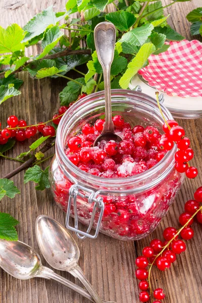 Sugared red currant — Stock Photo, Image