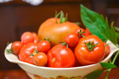 Domates (Solanum lycopersicum)