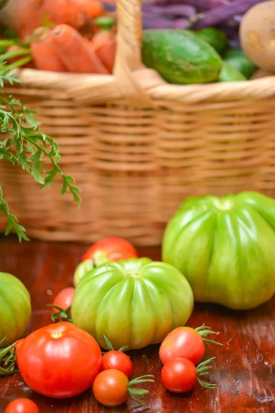 De tomaat (Solanum lycopersicum) — Stockfoto