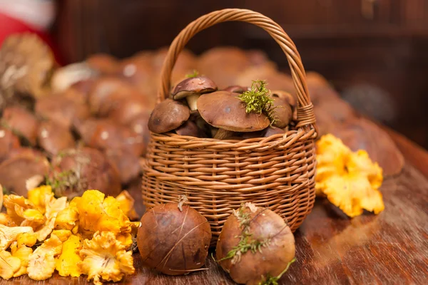 Basket with mushrooms — Stock Photo, Image