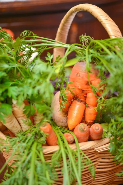 Cesto di verdure — Foto Stock