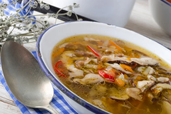 Sopa de cogumelos de guarda-sol vegetariano — Fotografia de Stock