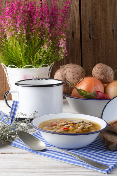 Zuppa vegetariana di funghi ombrellone — Foto Stock