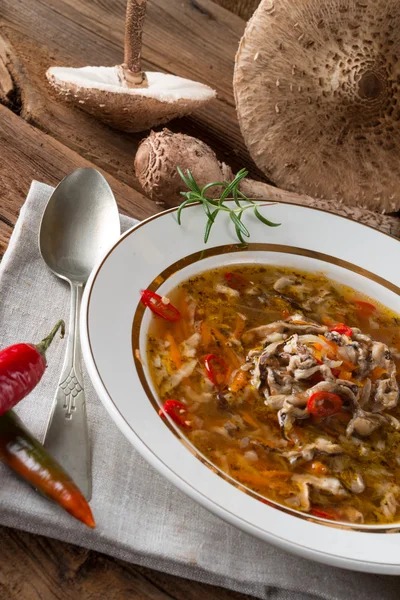 Parasol sopa de champiñones —  Fotos de Stock