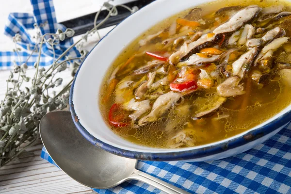 Vegetarische Sonnenschirm-Pilzsuppe — Stockfoto