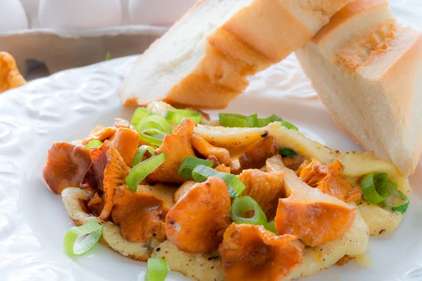 Kahvaltı omlet chanterelles ile var — Stok fotoğraf