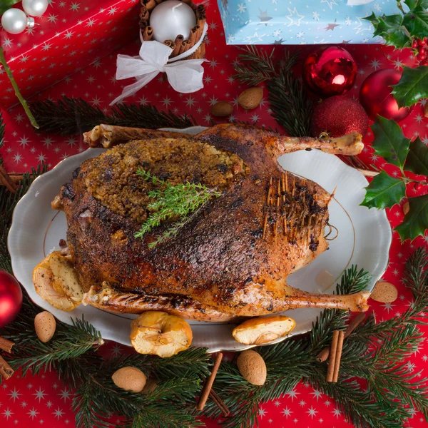 Christmas goose — Stock Photo, Image