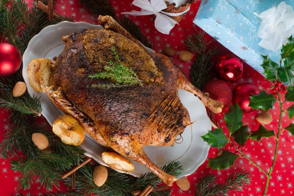 Ganso de Navidad — Foto de Stock