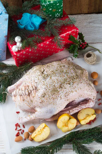 Gans vor dem Braten — Stockfoto