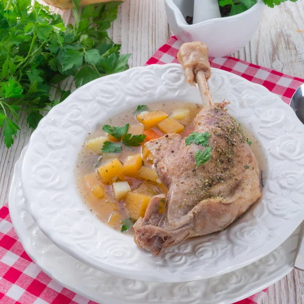 Goose - soep met rode wijn en tijm — Stockfoto