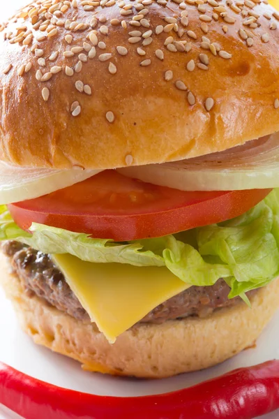 Hamburger — Stock Photo, Image