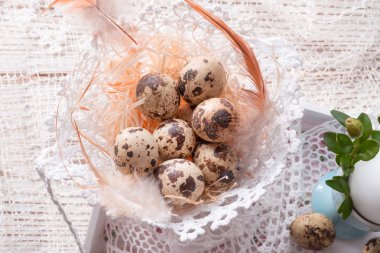 Bıldırcın yumurta