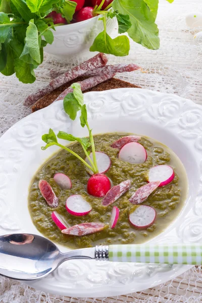 Πράσινο ραπανάκι σούπα — Φωτογραφία Αρχείου