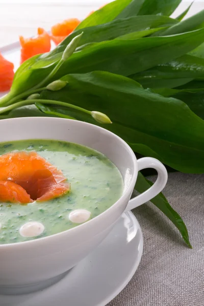 Sup bawang putih dengan salmon asap — Stok Foto