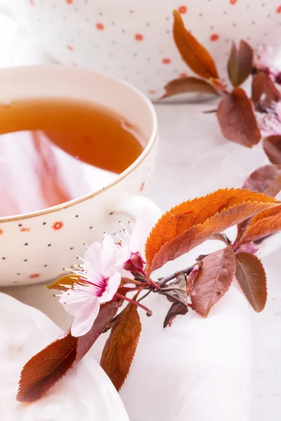 Фруктовый чай — стоковое фото