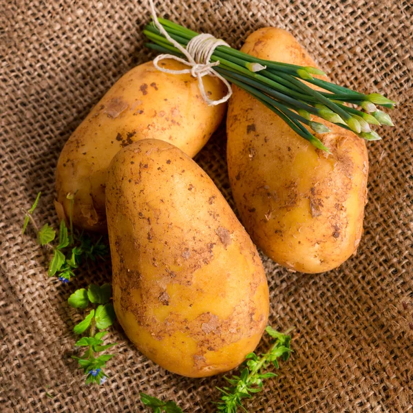 Neue Kartoffeln — Stockfoto