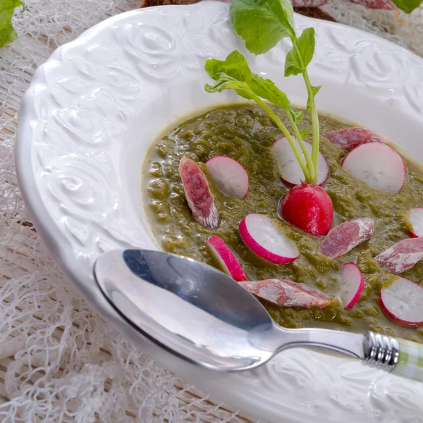 Green radish soup — Stock Photo, Image