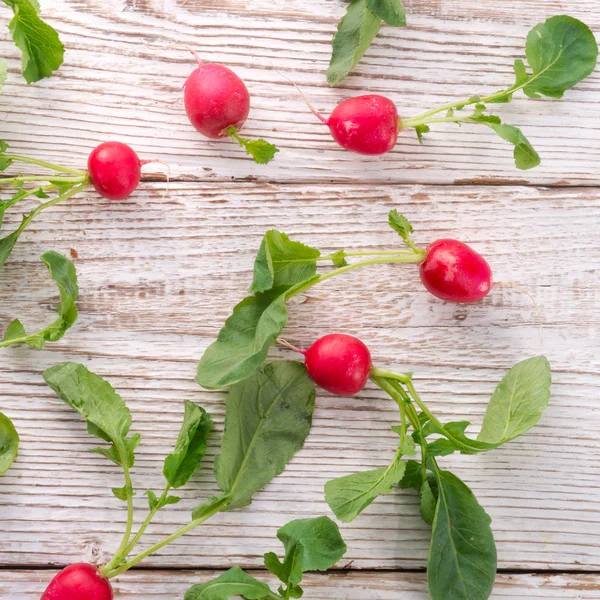 stock image Radish