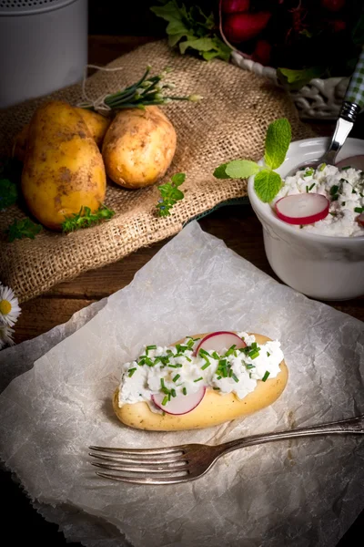 Patatas nuevas —  Fotos de Stock