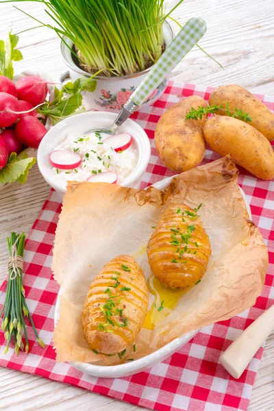 Hasselback potato — Stock Photo, Image